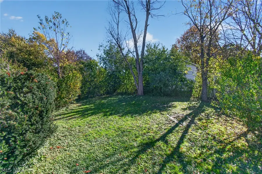64 Palmetto Avenue, Akron, OH 44301 - #3