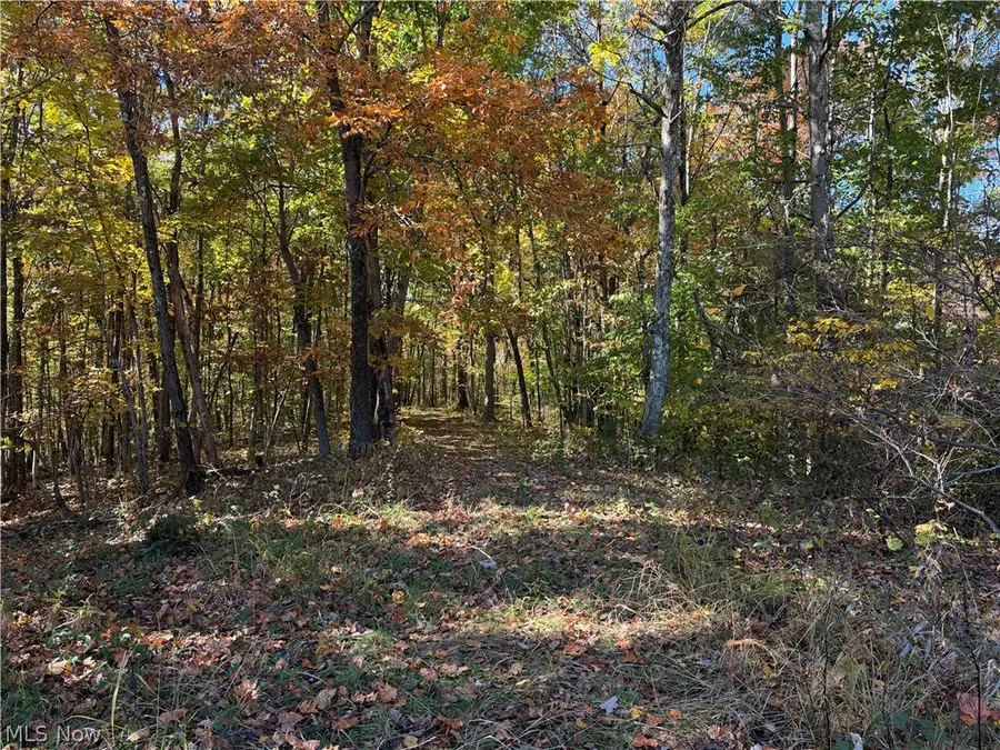 0 Dearth Rdge-rias Run Road, Graysville, OH 45734 - #3