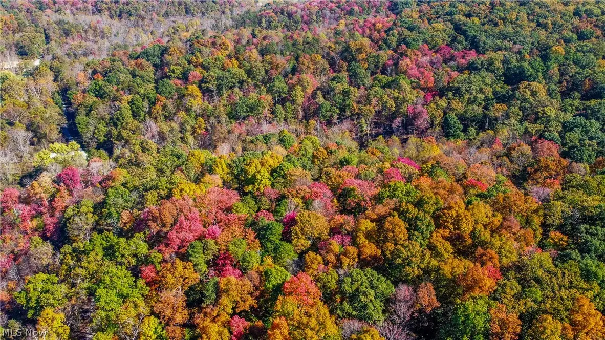 Van Crabtree Road, Lucasville, OH 45648 - #1
