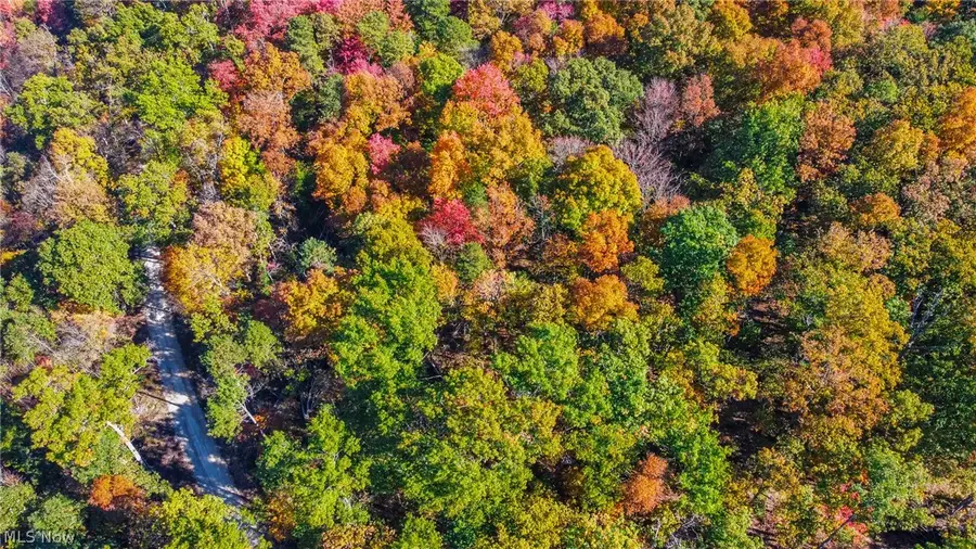 Van Crabtree Road, Lucasville, OH 45648 - #2