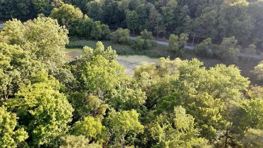 965 Graves Road, Chillicothe, OH 45601 - #2