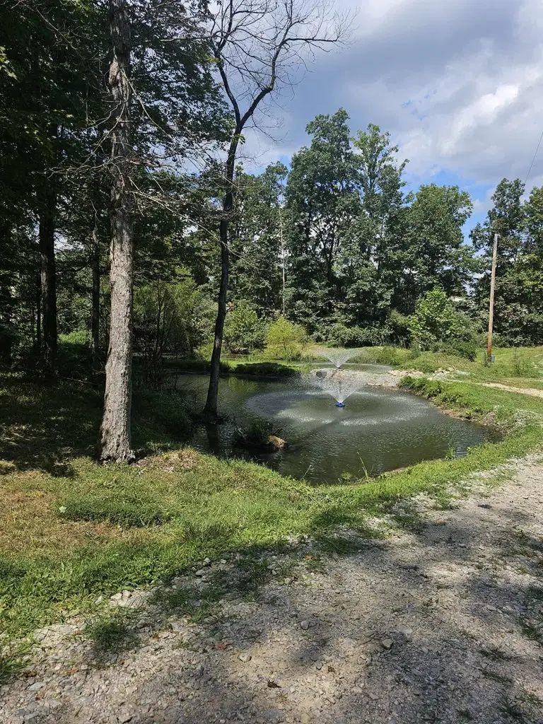 64598 Frazee Lane, McArthur, OH 45651 - Image #2