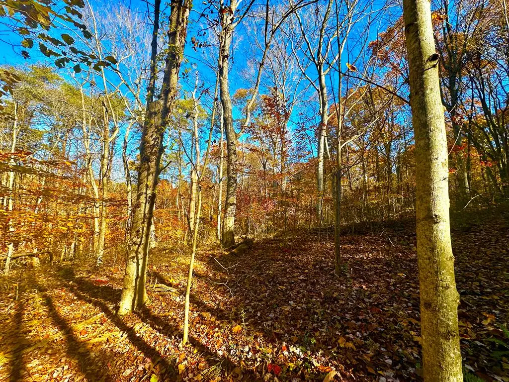 0 Denver Road, Waverly, OH 45690 - Image #1