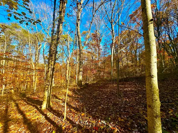 0 Denver Road, Waverly, OH 45690