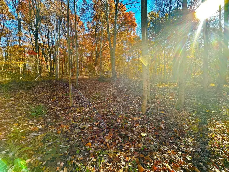 0 Denver Road, Waverly, OH 45690 - Image #3