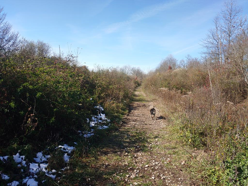 1121 Straight Creek Road, Waverly, OH 45690 - Image #1