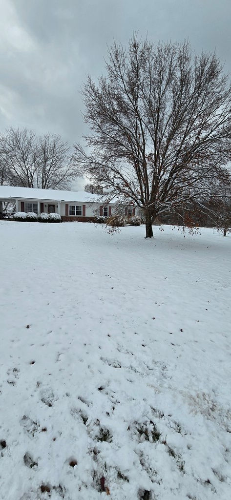 14102 St. Rt. 279, Oak Hill, OH 45656 - Image #2