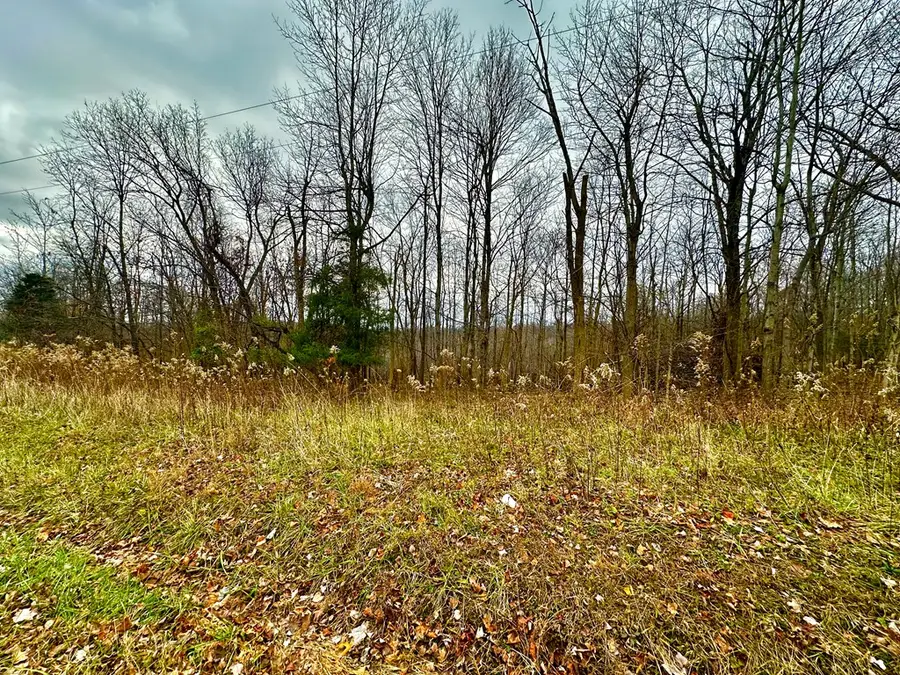 0 Potts Hill Road, Paxton, OH 45601 - Image #3