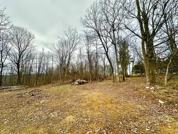 0 Potts Hill Road, Bainbridge, OH 45612