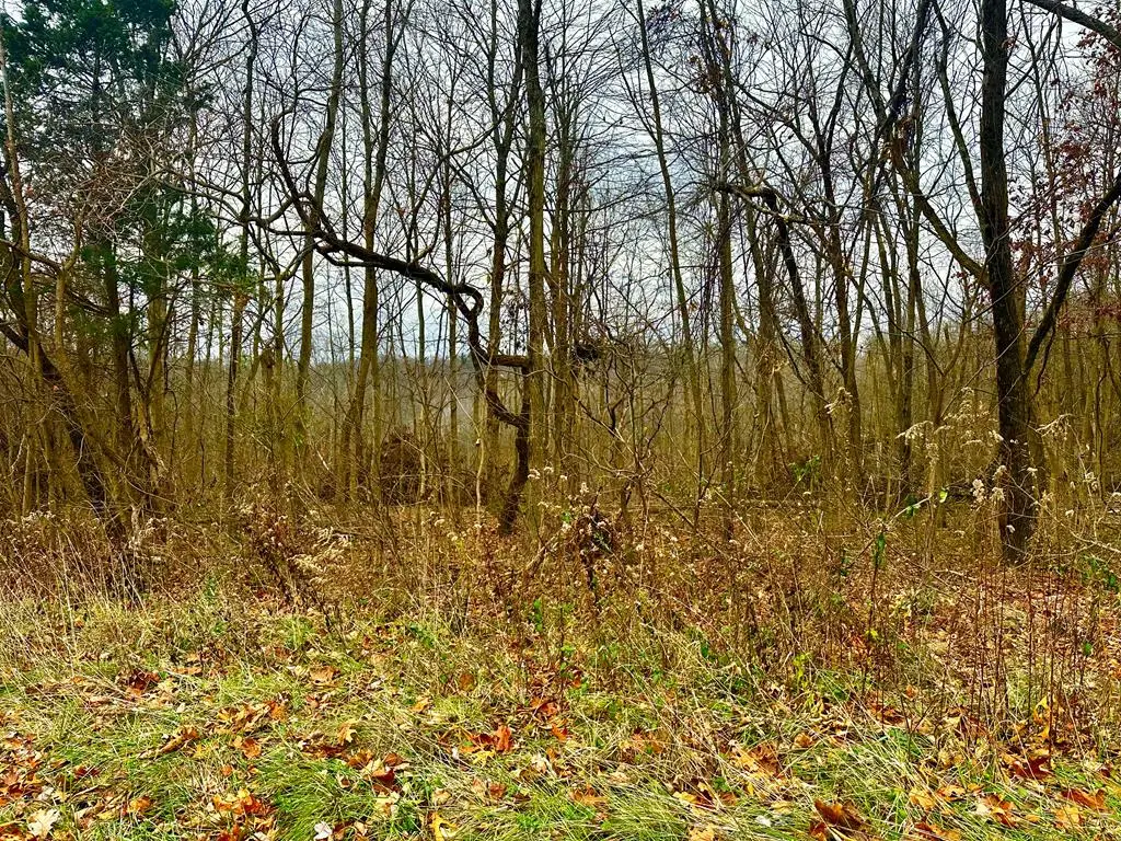 560 Landrum Road, Bainbridge, OH 45612 - Image #1