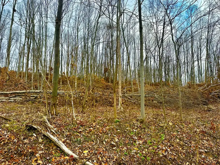 560 Landrum Road, Bainbridge, OH 45612 - Image #2