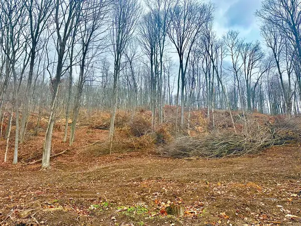 0 Lower Twin Road, Bainbridge, OH 45612