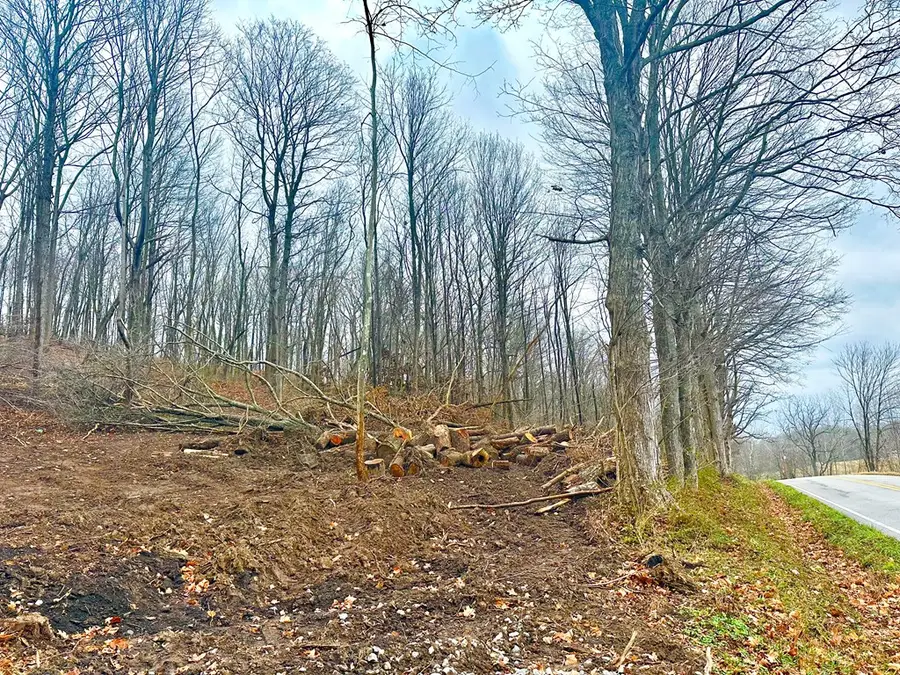 0 Lower Twin Road, Bainbridge, OH 45612 - Image #2