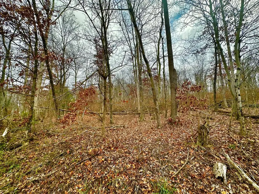 0 Prussia Road, Waverly, OH 45690 - Image #1