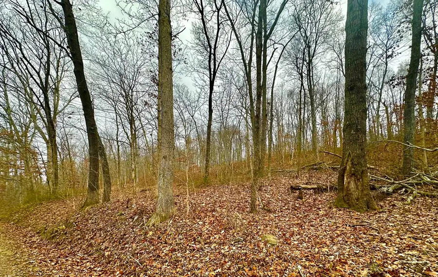 0 Prussia Road, Waverly, OH 45690 - Image #3