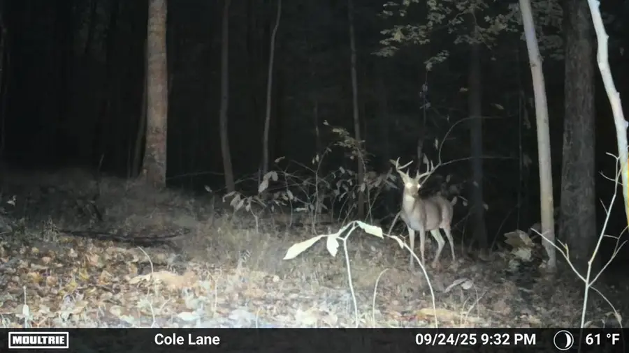 4655 Grassy Fork Road, Peebles, OH 45660 - Image #2