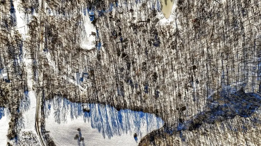 223 Harrison Road, Jackson, OH 45640 - Image #3