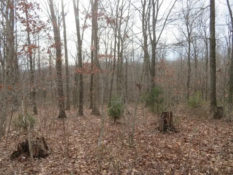 7730 Beavers Ridge Road, Piketon, OH 45661 - #2