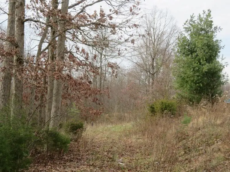 7730 Beavers Ridge Road, Piketon, OH 45661 - #3