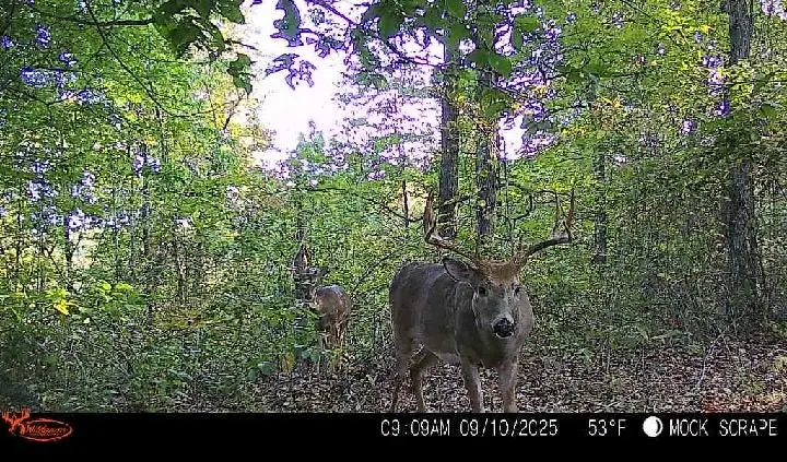 31382 Stevens Branch Rd, Londonderry, OH 45647 - #2