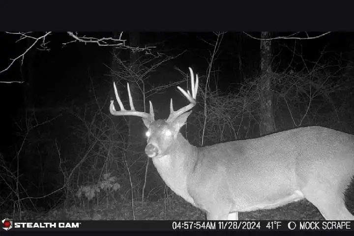 31382 Stevens Branch Rd, Londonderry, OH 45647 - #3