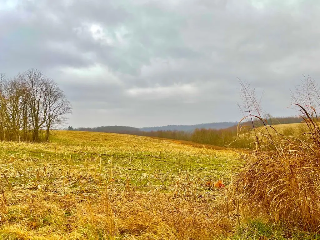 0 St. Rt. 772, Piketon, OH 45661 - Image #1