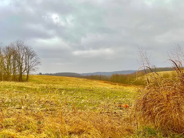 0 St. Rt. 772, Piketon, OH 45661