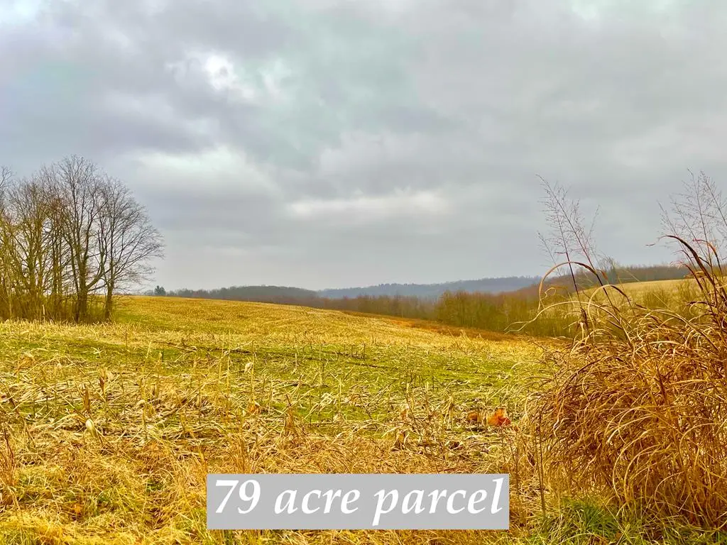 0 St. Rt. 772, Piketon, OH 45661 - Image #1