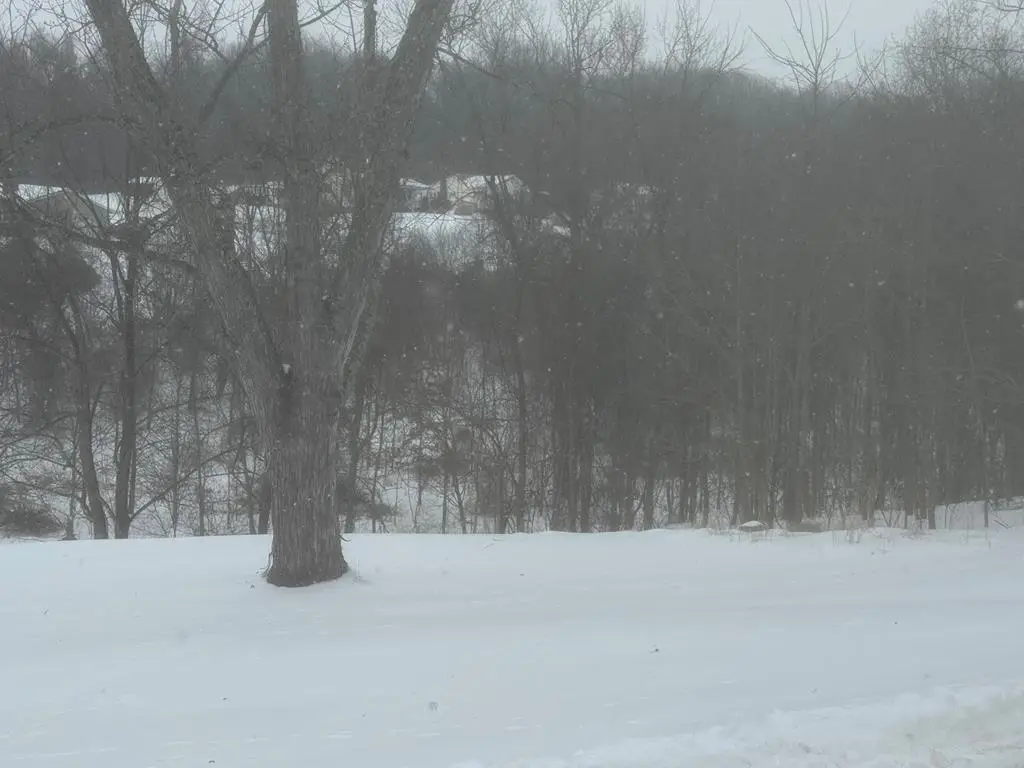 0 D Street, Wellston, OH 45692 - Image #1