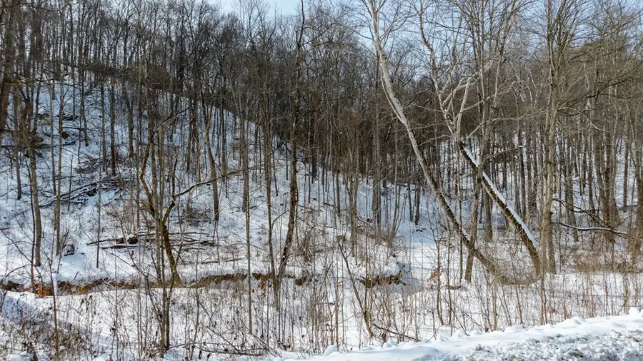 0 Jessie Creek Road, Bidwell, OH 45614 - #3