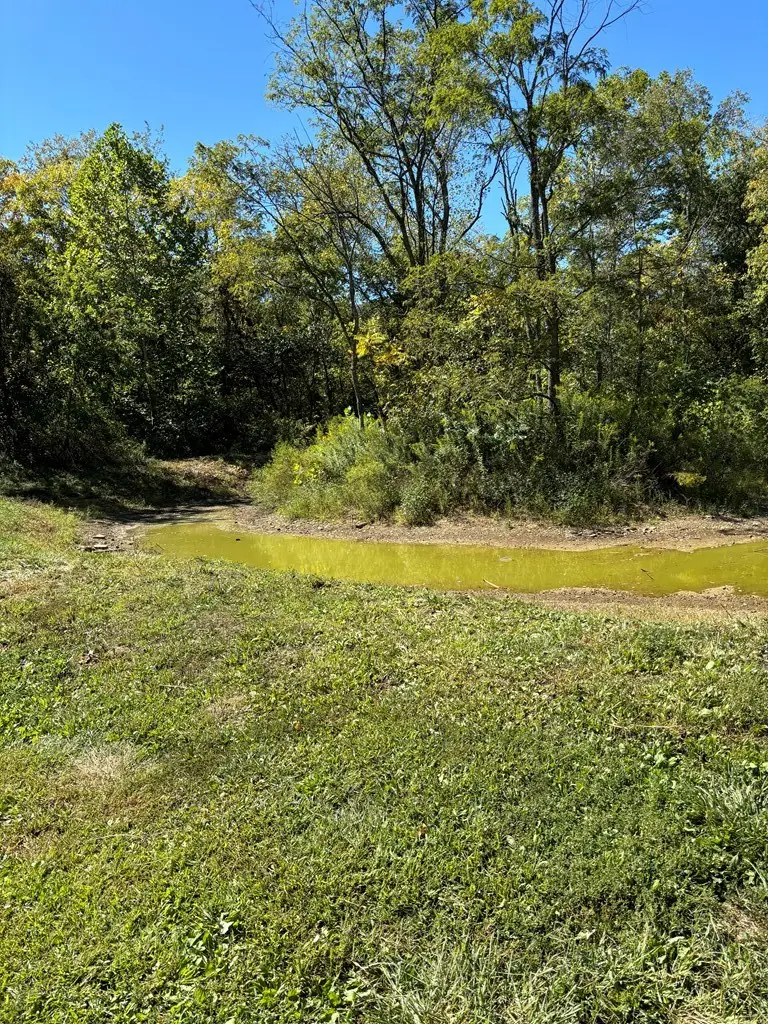 613 Harris Station Road, Bainbridge, OH 45612 - #2