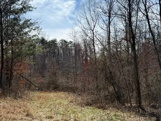 East Side State Route 335, Beaver, OH 45613 - #2