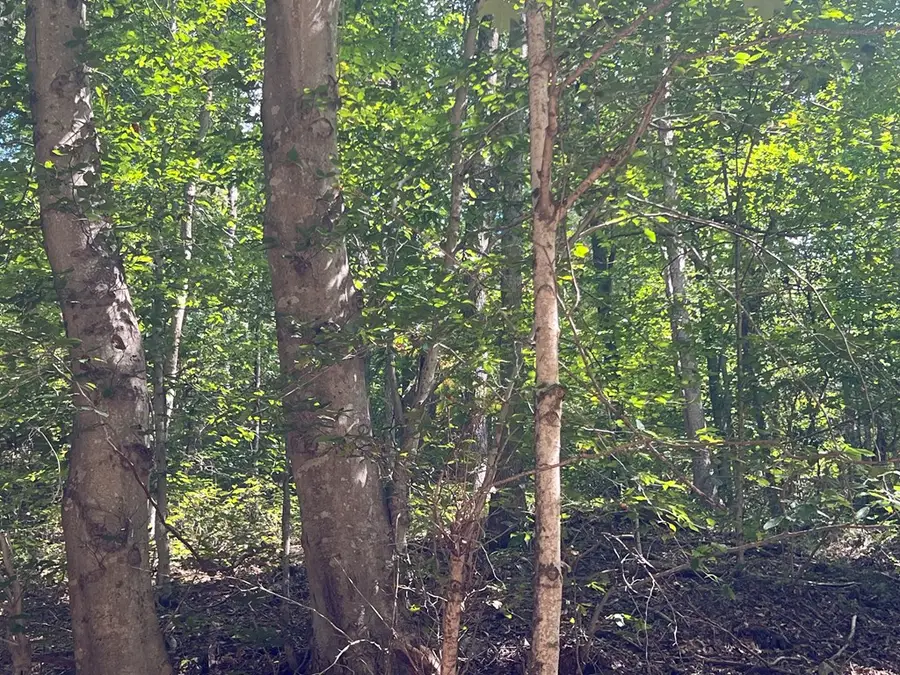 0 Goose Creek Road, Jackson, OH 43138 - #2