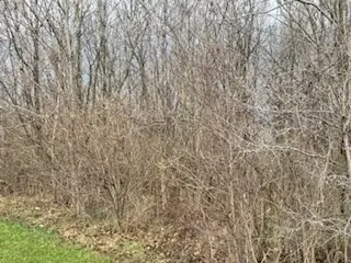 0 Cattail Road, Chillicothe, OH 45601 - #3