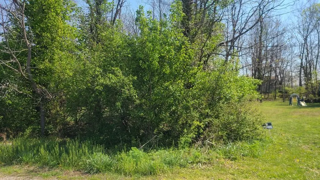 Lot 50 St. Anns Lane, Waverly, OH 45690 - #1