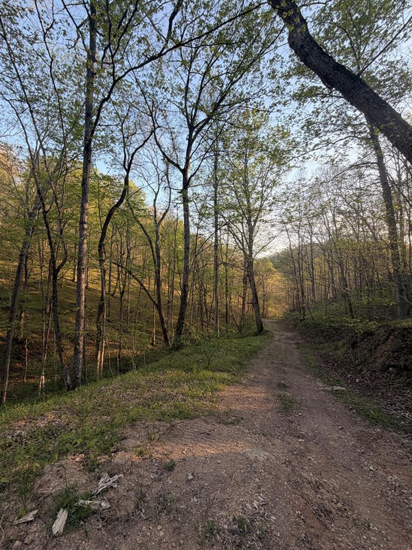 950 Scenic Drive, Vinton, OH 45686