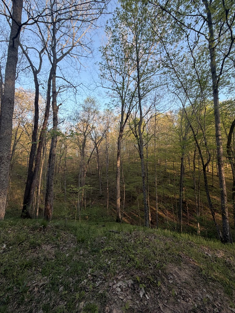 950 Scenic Drive, Vinton, OH 45686 - #3