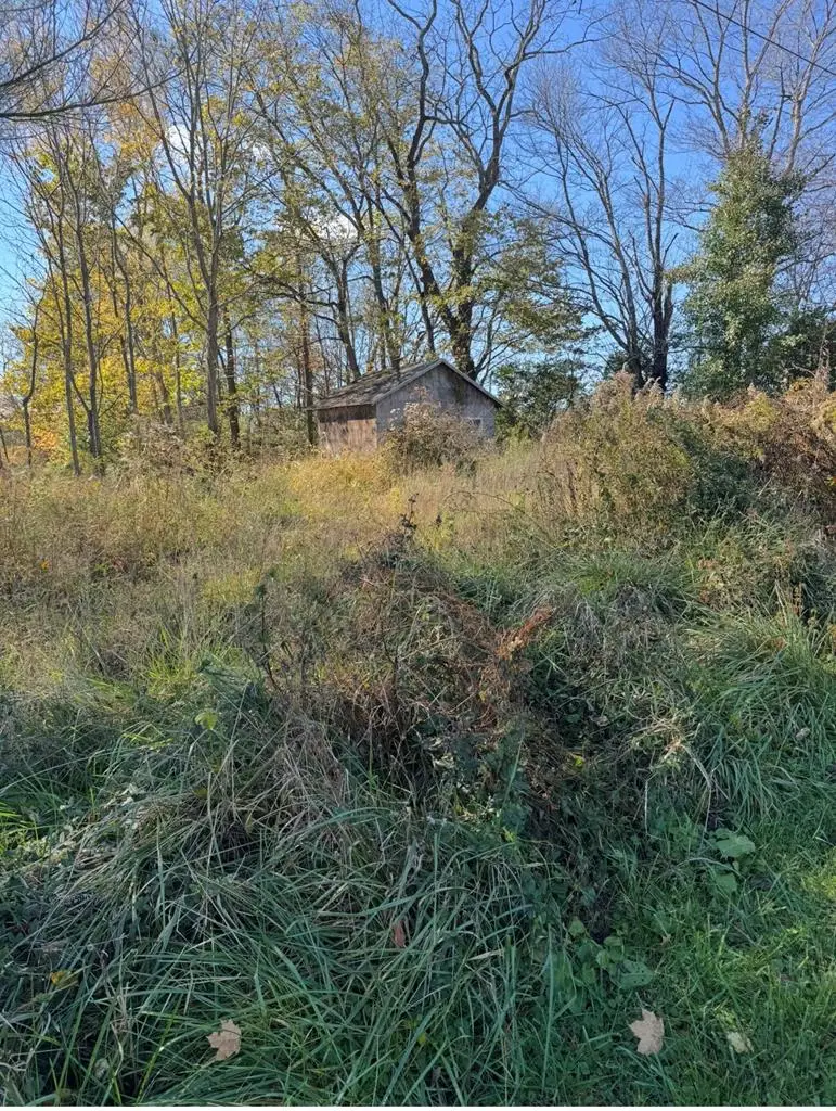 989 Howard Road, Waverly, OH 45690 - #1