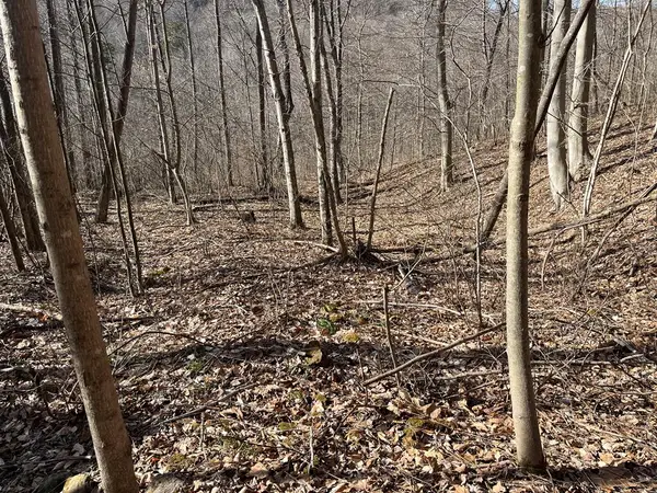 SE Hickson Run Road, Chillicothe, OH 45601