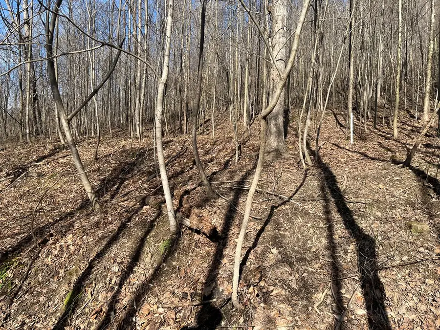 SE Hickson Run Road, Chillicothe, OH 45601 - #2