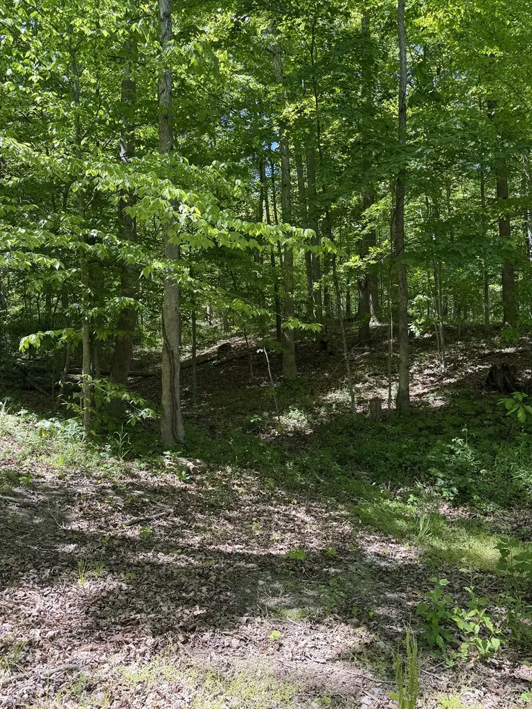 560 Sunfish Creek Road, Waverly, OH 45690 - #2