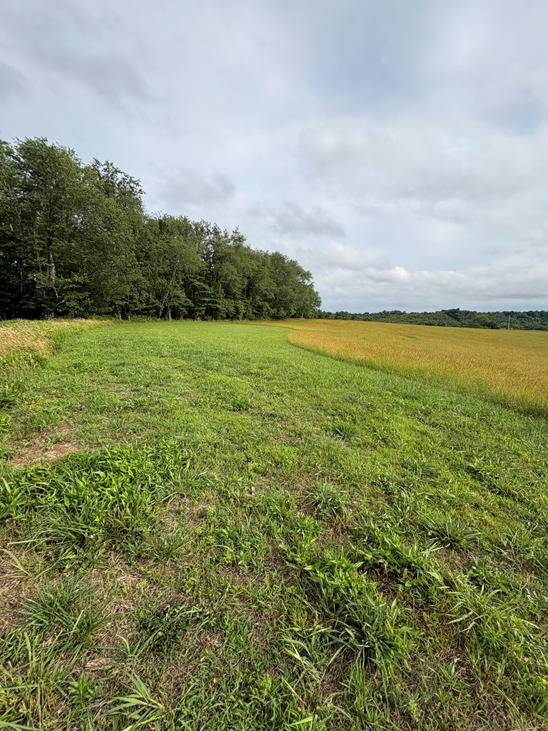 52 Deemer Road, Jackson, OH 45640 - #3