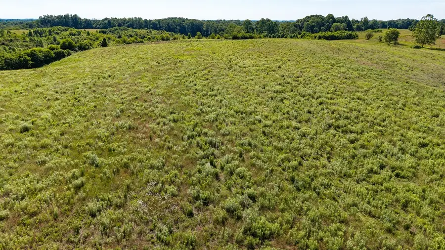 37988 Buck Run Rd., Albany, OH 45710 - #3