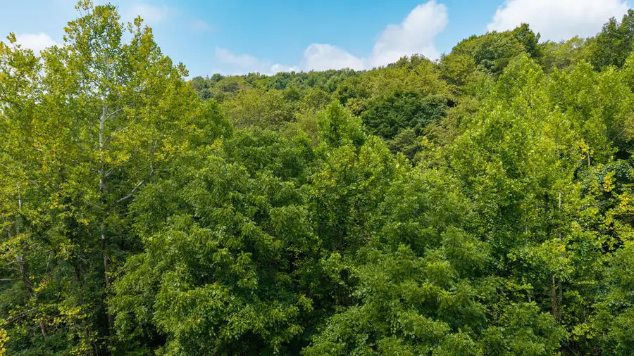0 Bear Run Road, South Webster, OH 45682 - #3