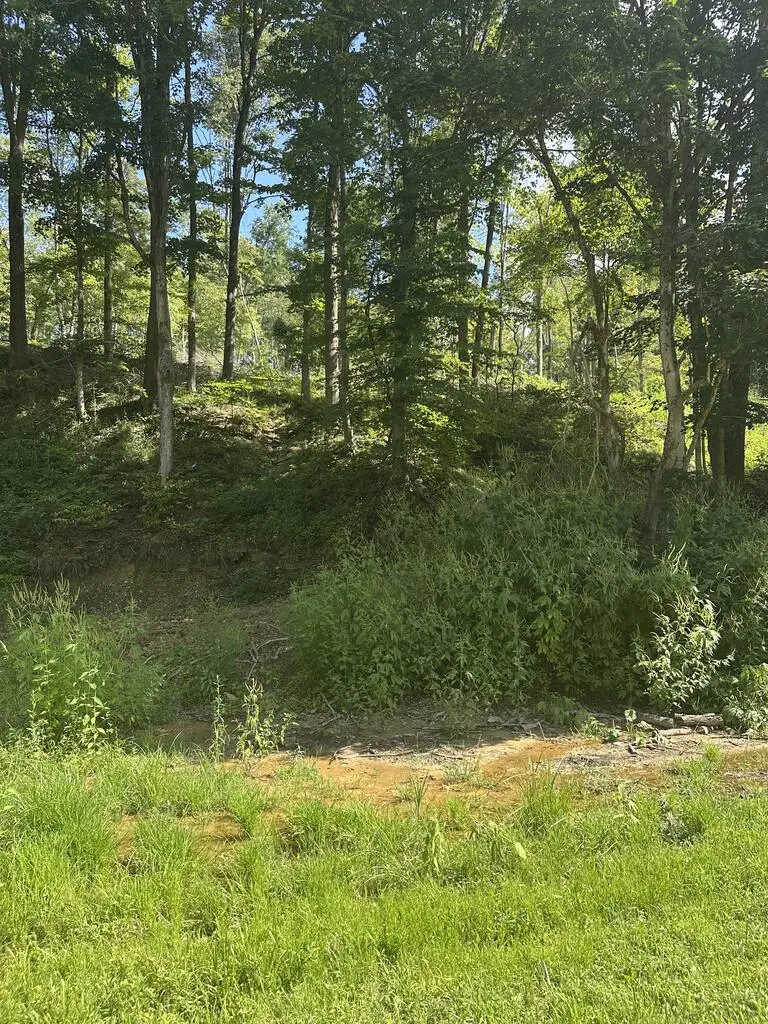 0 Pleasant Hill Road, Waverly, OH 45690 - #1
