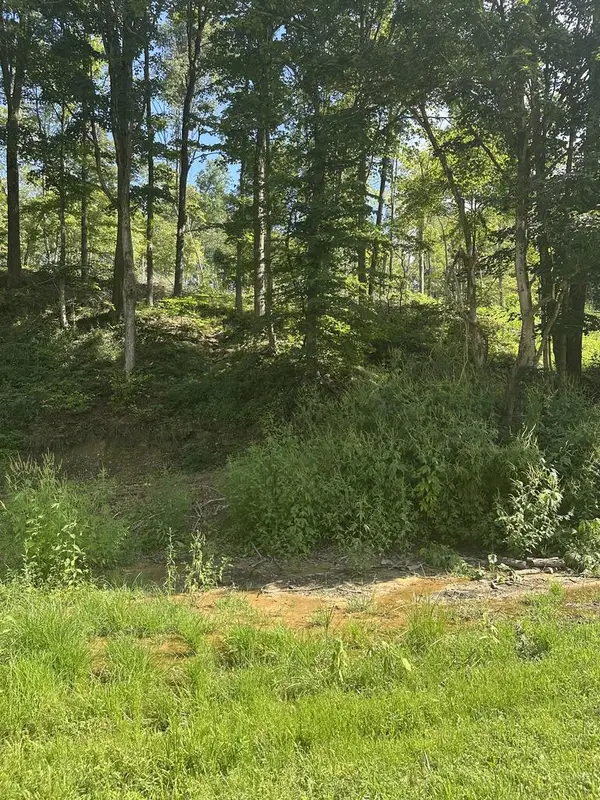 0 Pleasant Hill Road, Waverly, OH 45690