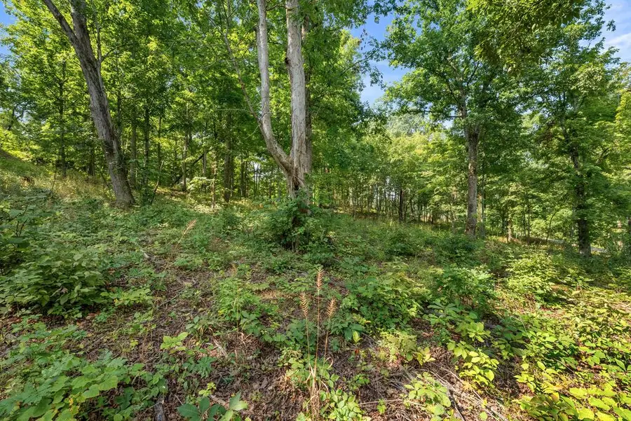 0 Oak Ridge Road, Gallipolis, OH 45631 - #2