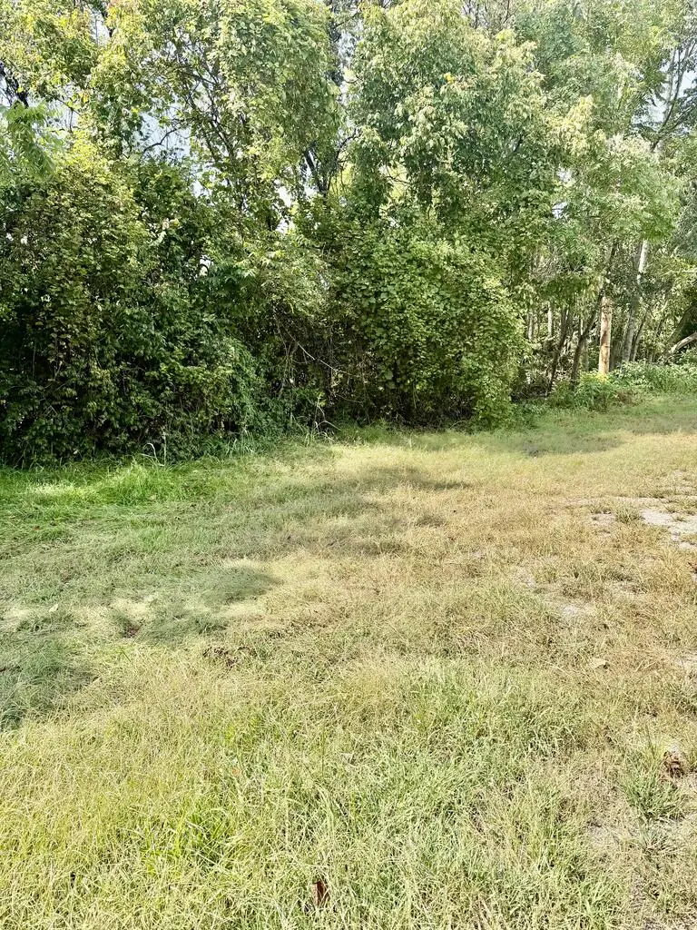 316,498, W 2nd St, Waverly, OH 45690 - #2