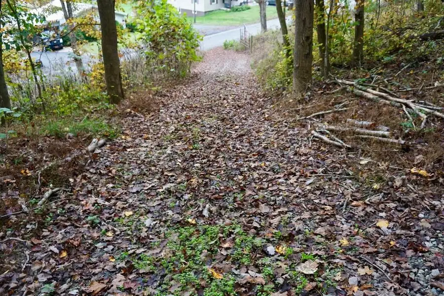 528 Sunfish Creek Road, Piketon, OH 45661 - #3