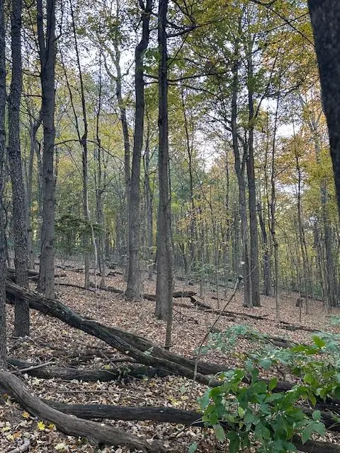 0 England Hollow Road, Chillicothe, OH 45601 - #3